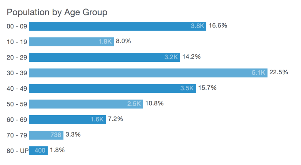 Old Fourth Ward Population by Age Group